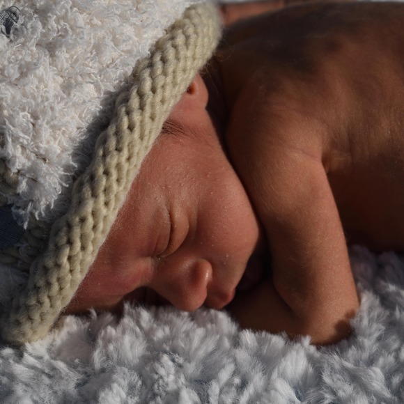 Meet your Posher, Keaton - Picture 1 of 1